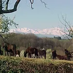 Haras Picard Du Sant Le Barail Πανσιόν 4*