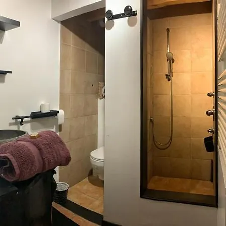 게스트하우스 Haras Picard Du Sant Le Barail Lasserre (Ariege)