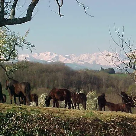 Haras Picard Du Sant Le Barail 게스트하우스 4*