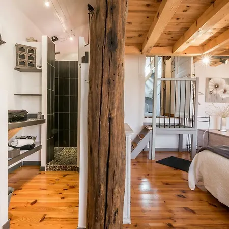 게스트하우스 Haras Picard Du Sant Le Barail Lasserre (Ariege)