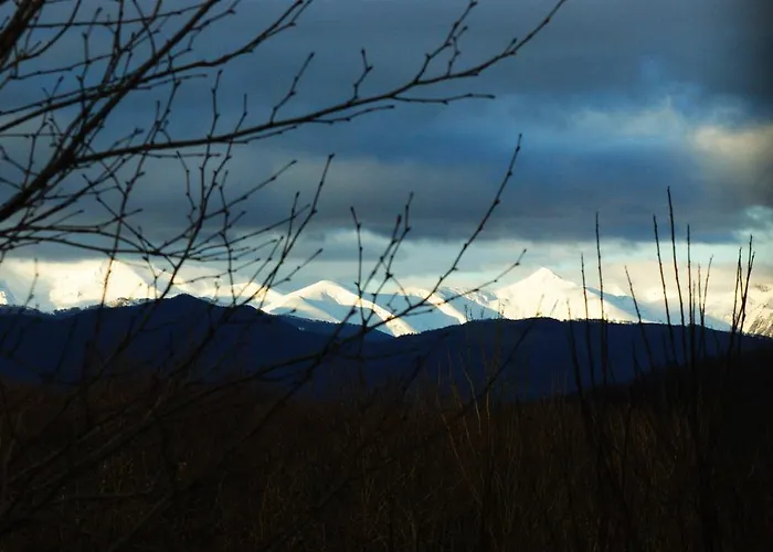 Haras Picard Du Sant Le Barail 4*